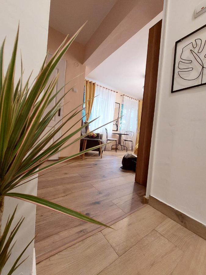 Laroka House Cosy Studio Universitate Bükreş Dış mekan fotoğraf